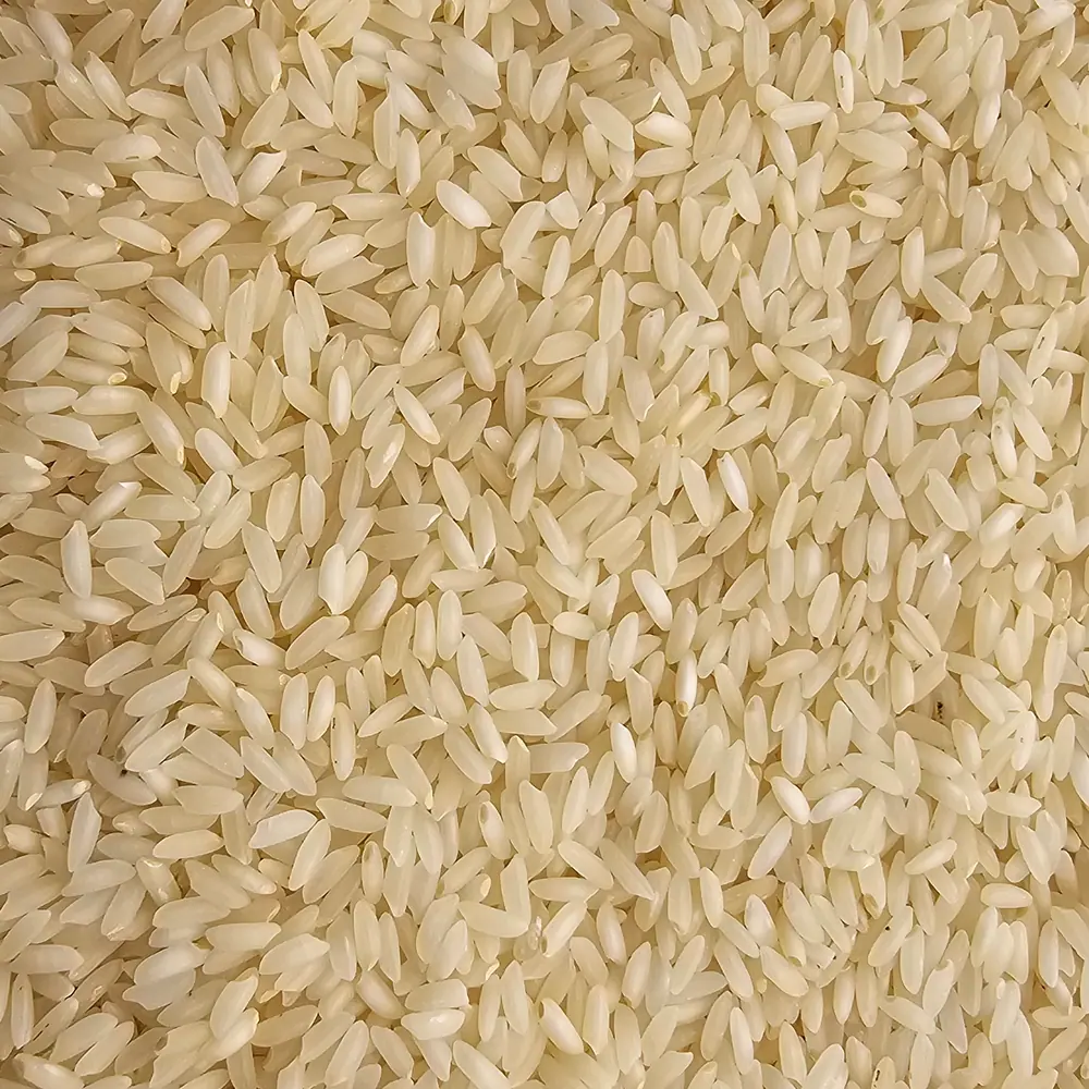 Macro close-up of milled Sona Masoori rice grains