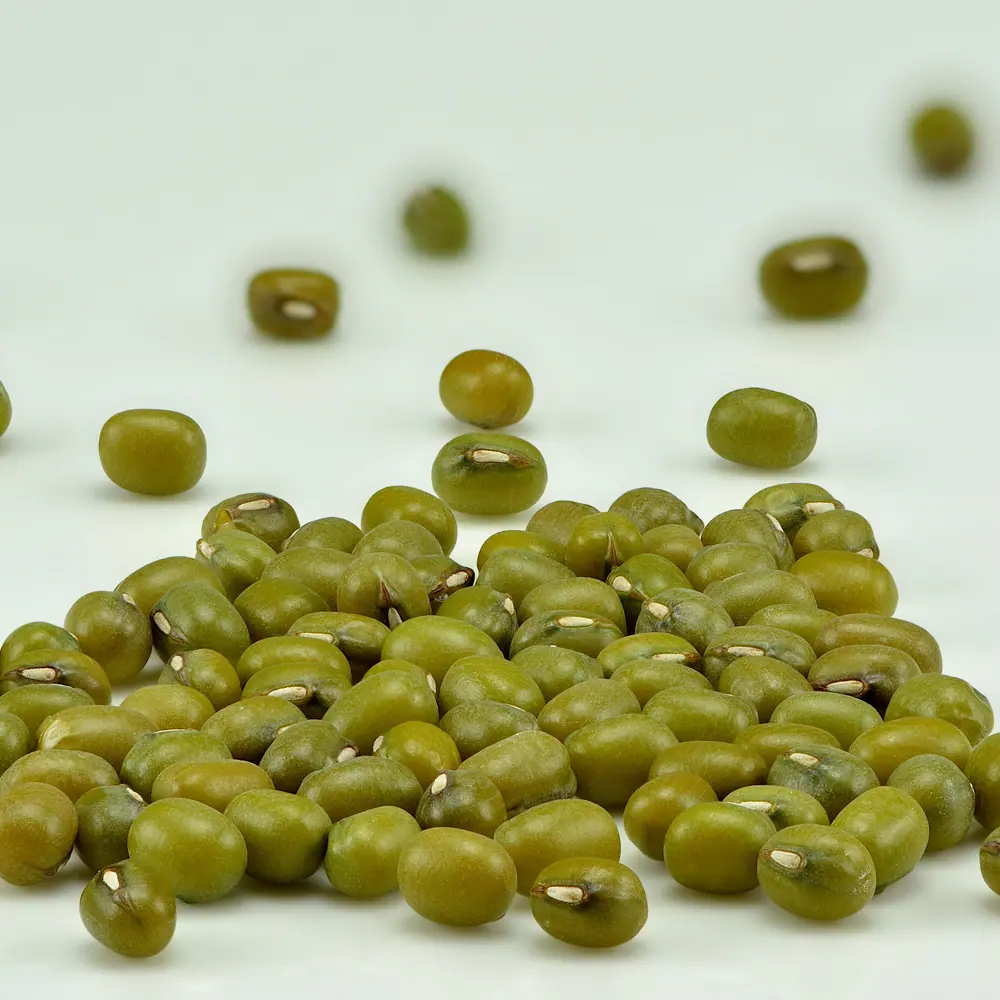Whole green gram (mung beans), photographed close up