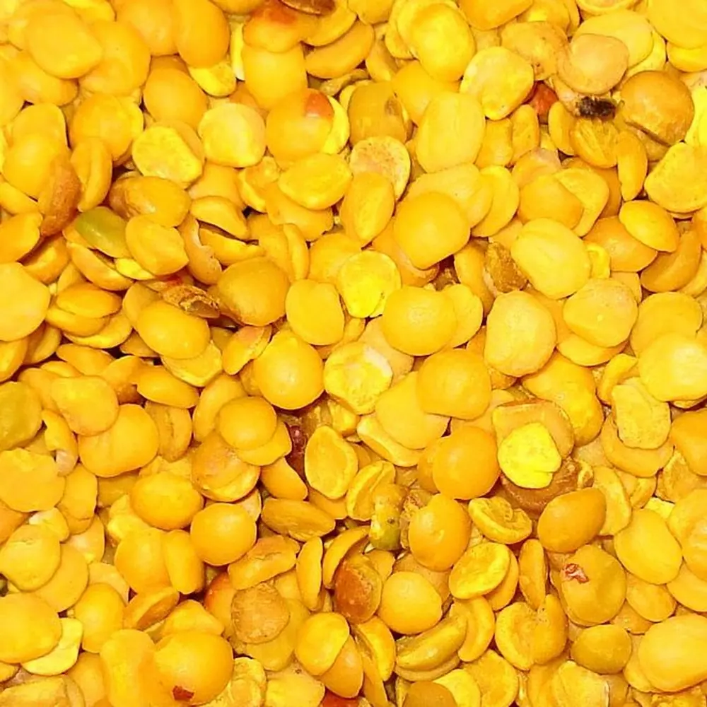 toor dal, photographed close up
