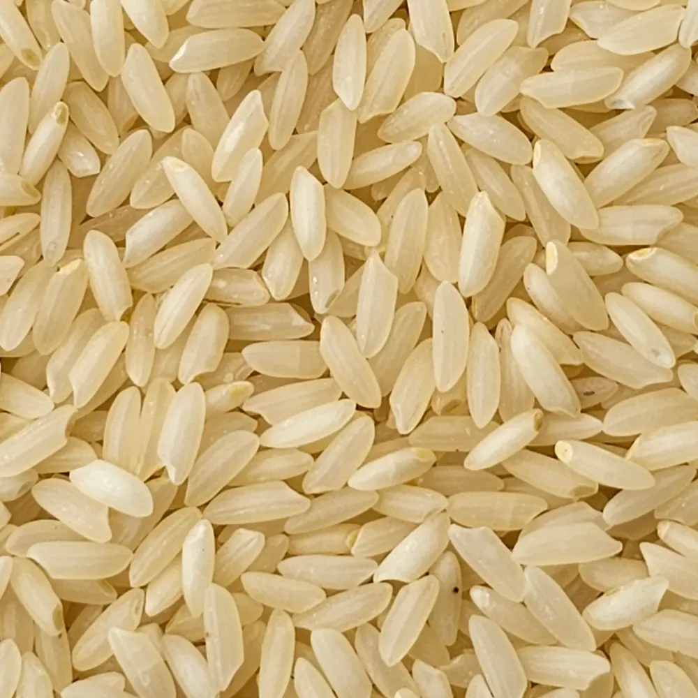 Macro close-up of plump medium-grain milled rice