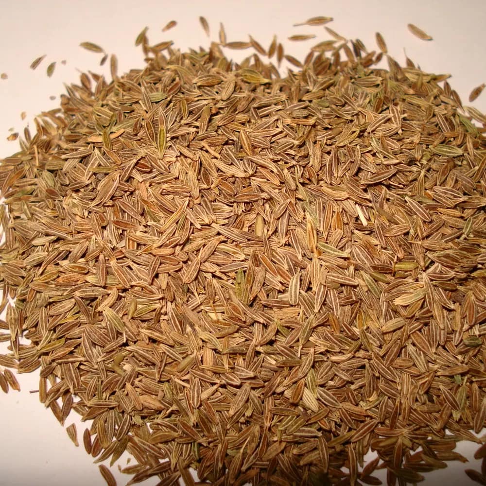 Whole cumin seed, photographed close up
