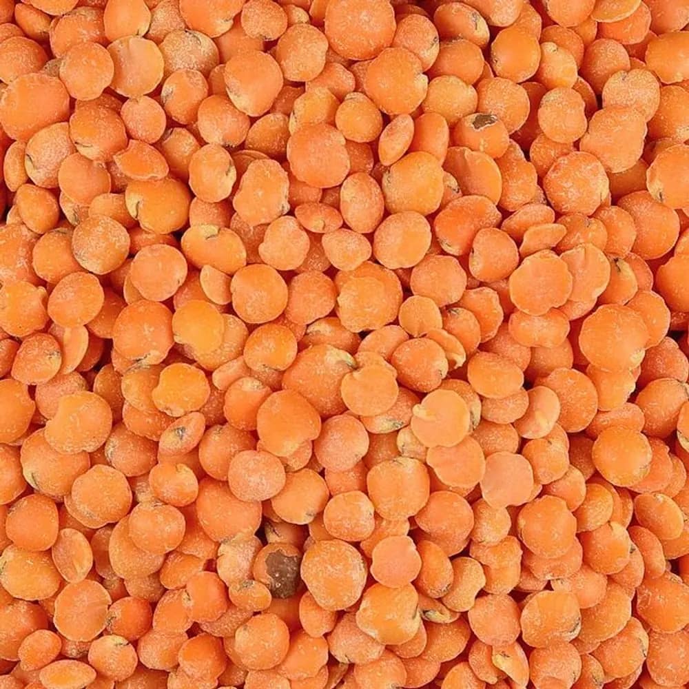 red lentils, photographed close up